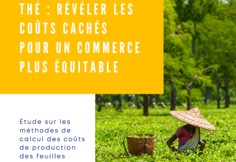 Thé : révéler les coûts cachés pour un commerce plus équitable