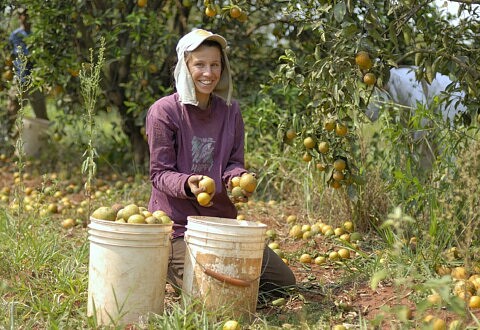Femmes et agriculture : le commerce équitable au service de l’égalité