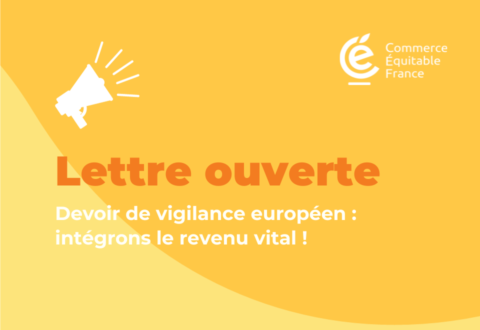 Devoir de vigilance européen : intégrons le revenu vital !