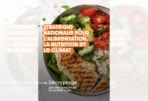 Décryptage collectif | Stratégie Nationale pour l’Alimentation, la Nutrition et le Climat