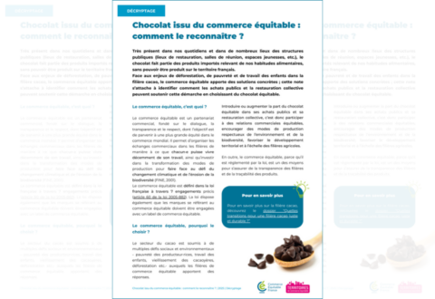 Chocolat issu du commerce équitable : comment le reconnaître ?