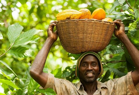 Une législation européenne sur le devoir de diligence pour un impact positif