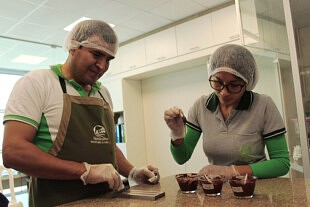 Usine de production de masse de cacao, Coopérative Norandino, Pérou