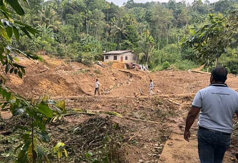 Filière thé & climat : une crise structurelle, une solidarité en action