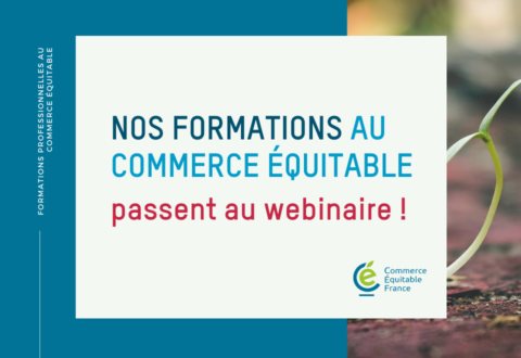 Covid-19 : nos formations deviennent des webinaires !