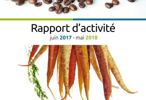 Rapport d’activités 2017-2018