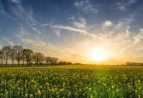 Commerce équitable et climat : même combat !