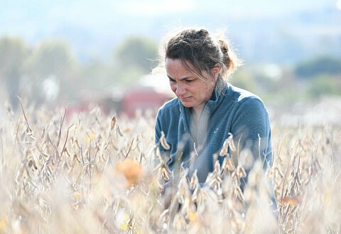 Projet de loi d’urgence agricole : une occasion manquée de placer la juste rémunération des producteurs au cœur de la transition agricole