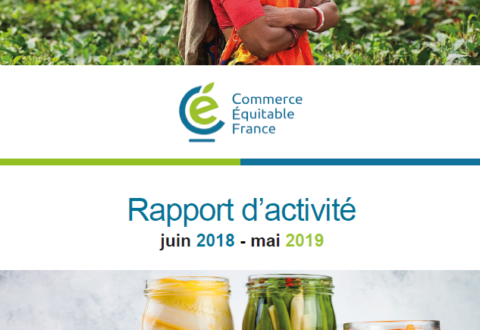 Rapport d’activité 2018-2019