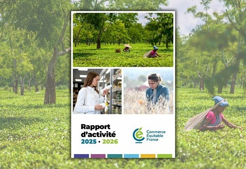 Rapport d&rsquo;activité 2025 – 2026